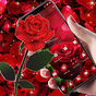 Blooming Red Rose Love Theme APK