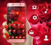 Gambar Blooming Red Rose Love Theme 5