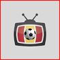 TDT Futbol TV apk icono