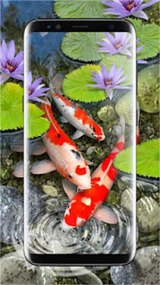 Tải miễn phí APK 3D Koi Fish Wallpaper HD - 3D Fish Live Wallpapers Android