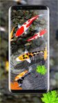 Immagine 11 di sfondo di pesce - sfondi del telefono