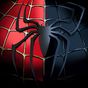Spider man Wallpaper HD apk icon