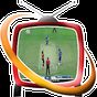 Live Cricket TV의 apk 아이콘