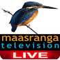 Εικονίδιο του Maasranga Tv Live apk