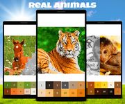 Animals Color by Number: Animal Pixel Art image 5