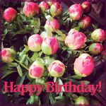 Happy Birthday Flowers Cards for Facebook εικόνα 13