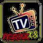 APK-иконка TV POLSKA X8
