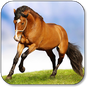 fond d'écran de cheval APK