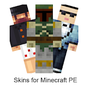 Biểu tượng apk Skins for Minecraft PE