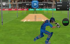 MS Dhoni:The Untold Story Game image 3