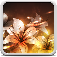 Flori Imagini De Fundal Android Download