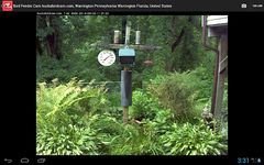 Live Camera Viewer for IP Cams εικόνα 9