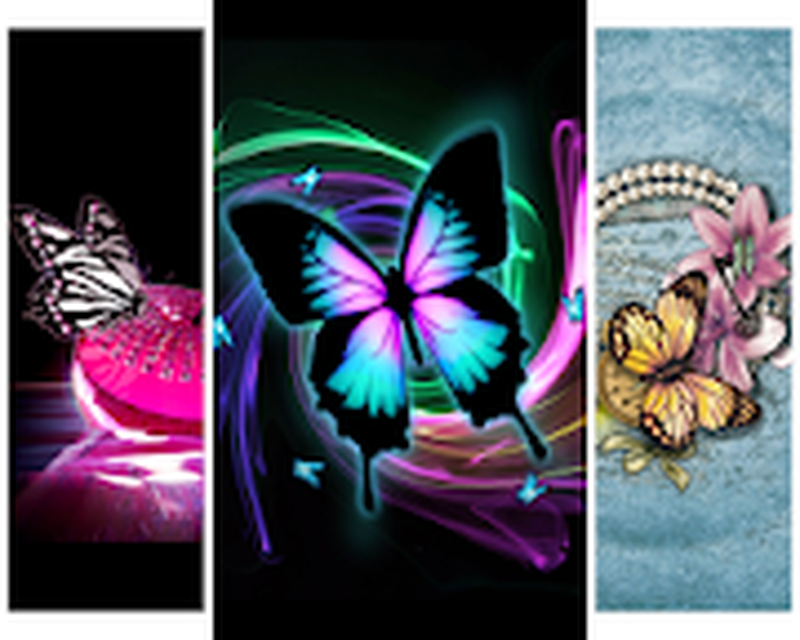 Butterfly Fashion Wallpapers Android Free Download Butterfly