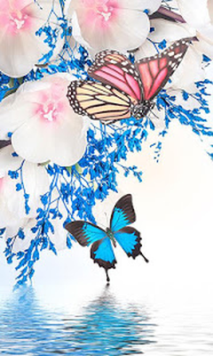 Fluture Imagini De Fundal Android Download