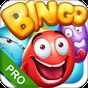 Bingo - Pro Bingo Crush™ APK Simgesi