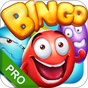 Bingo - Pro Bingo Crush™ apk icon