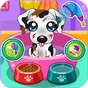 Caring for puppy salon  APK