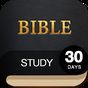 30 Day Bible Study Challenge - Offline Bible Study apk icon