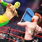 WORLD WRESTLING MANIA - HELL CELL 2K18 apk icon