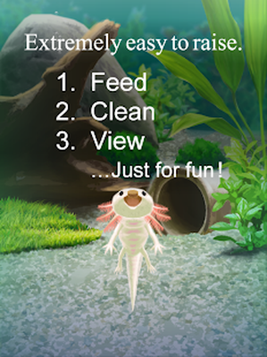 Androidの 癒しのウーパールーパー育成ゲーム アプリ 癒しのウーパールーパー育成ゲーム を無料ダウンロード