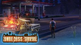 Картинка 16 Zombie Crisis: Survival