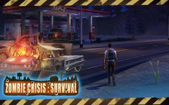 Imagem  do Zombie Crisis: Survival