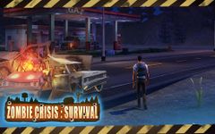 Картинка  Zombie Crisis: Survival