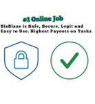 Imagine BizBlaze - Work Online Safe & Easy 6