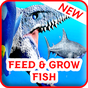 Feed and Grow : Fish Adventure apk icono