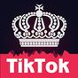 Boost Fans For TikTok Musically Likes & Followers apk icon