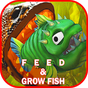 Nourrir Et Grandir Le Poisson APK