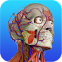 APK-иконка Gray's Anatomy – Atlas | Free & Offline