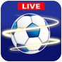 All Football Live - Fixtures, Live Scores, News apk icon