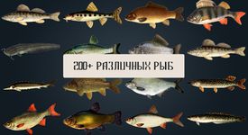 Картинка 1 Реальная Русская Рыбалка : Рыболовный симулятор