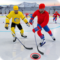 Хоккей 2019 - Классическая зимняя лига APK