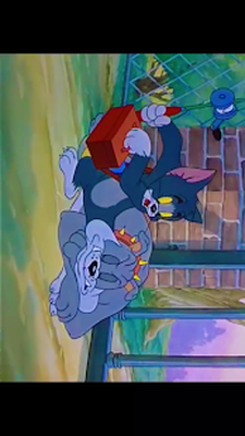 download tom and jerry videos 3gp
