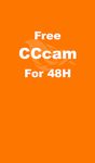 CCcam 48H Renewed image 1