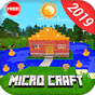 Micro Craft: Survival Edition apk icono