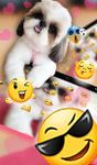 Imagem 4 do Cute Puppy Dog Keyboard Theme