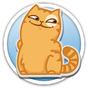 Cat Persik Stickers - WAStickerApps APK Icon