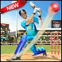 Cricket Champions League - Cricket Games APK