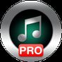 Biểu tượng apk Music Player Pro