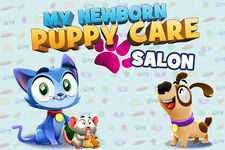 My Newborn Puppy Care Salon - Pet Baby Animal image 