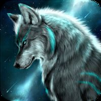 Wolf Hd Wallpapers Apk Free Download For Android