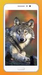 Wolf HD Wallpapers imgesi 