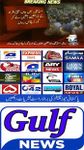 Gulf Cricket News 이미지 