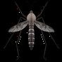 Ícone do apk Anti-Mosquito Som Truque