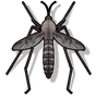 Ícone do apk Anti-Mosquito Som Truque