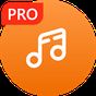 Music Player Pro apk icon