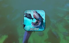 feed and grow fish - Simulator tips ảnh số 